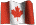 Bandeira em homenagem ao Canadá 
